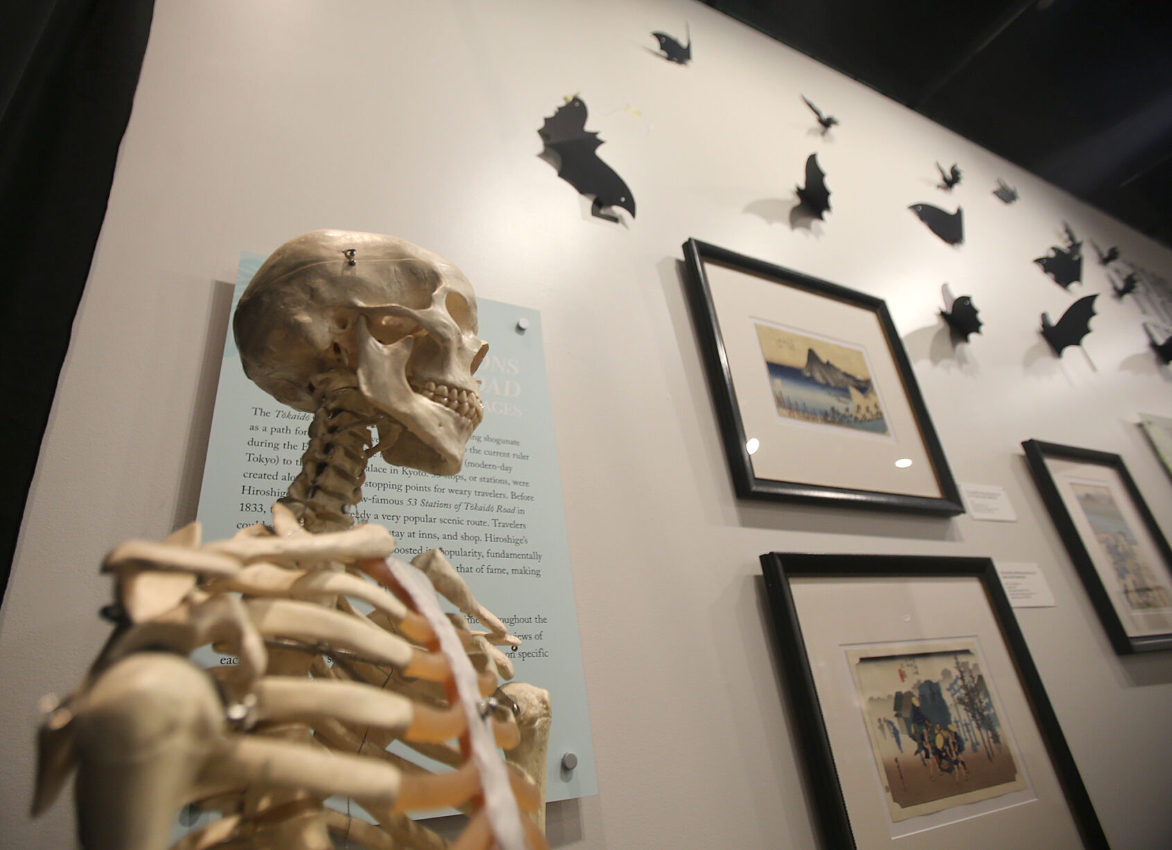halloween - Martin Museum